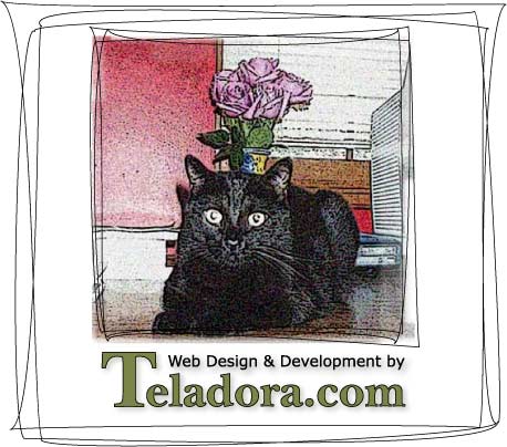 Teladora.com Logo